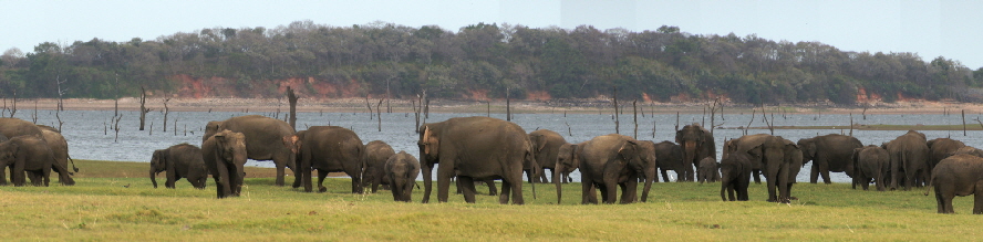 2018_SriLanka_45